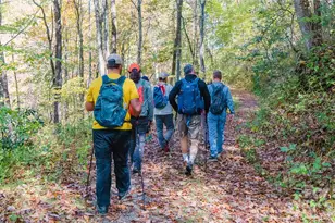 110 Saddle Notch Ln, Tuckasegee, NC 28783 - Photo 27