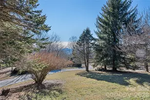 286 Pioneer Ridge Rd, Canton, NC 28716 - Photo 19