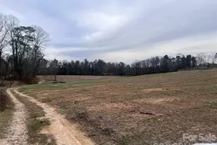 99999 McMurray Rd, Flat Rock, NC 28731 - Photo 1