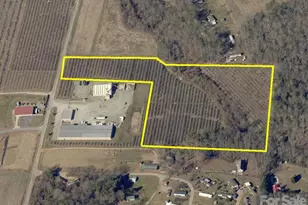 99999 McMurray Rd, Flat Rock, NC 28731 - Photo 1