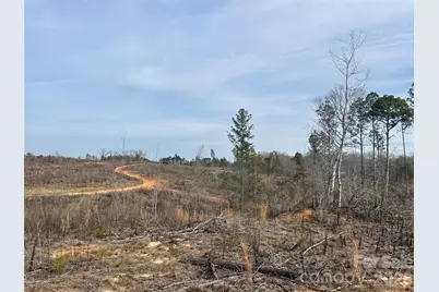 33 Ac Lot B Countryside Drive, Blackstock, SC 29014 - Photo 25