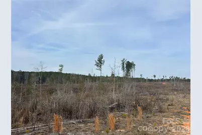 33 Ac Lot B Countryside Drive, Blackstock, SC 29014 - Photo 27