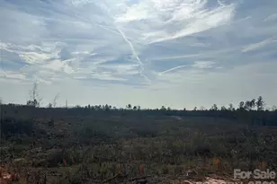 33 Ac Lot C Countryside Dr, Blackstock, SC 29014 - Photo 1