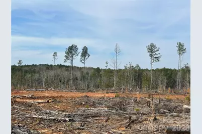 33 Ac Lot C Countryside Drive, Blackstock, SC 29014 - Photo 13