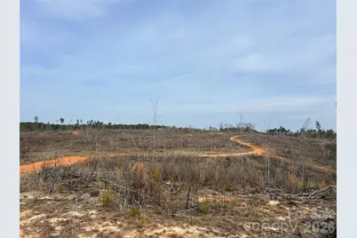 33 Ac Lot C Countryside Drive, Blackstock, SC 29014 - Photo 19