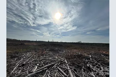 33 Ac Lot C Countryside Drive, Blackstock, SC 29014 - Photo 9