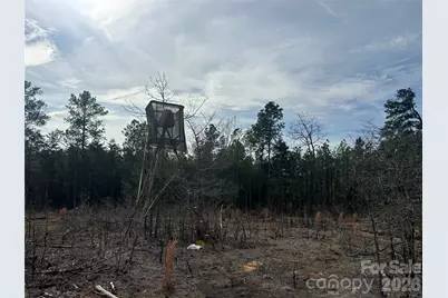 33 Ac Lot C Countryside Drive, Blackstock, SC 29014 - Photo 17