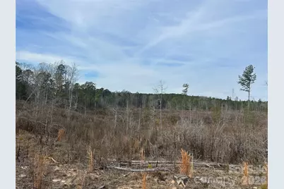 33 Ac Lot C Countryside Drive, Blackstock, SC 29014 - Photo 21