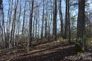 448 Sweetwater Rd, Green Mountain, NC 28740 - Photo 25