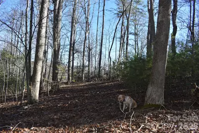 448 Sweetwater Road, Green Mountain, NC 28740 - Photo 19