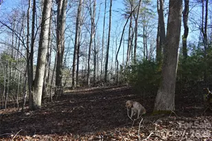 448 Sweetwater Rd, Green Mountain, NC 28740 - Photo 19