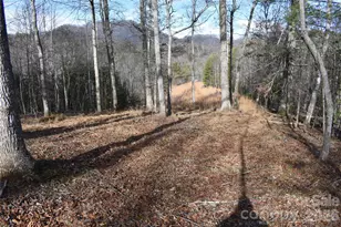 448 Sweetwater Rd, Green Mountain, NC 28740 - Photo 35