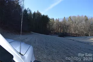 448 Sweetwater Rd, Green Mountain, NC 28740 - Photo 9