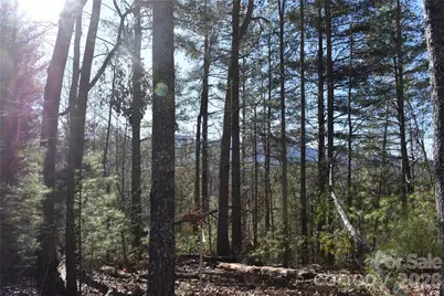 448 Sweetwater Road, Green Mountain, NC 28740 - Photo 17