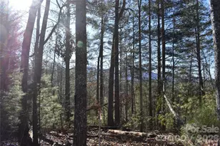 448 Sweetwater Rd, Green Mountain, NC 28740 - Photo 17