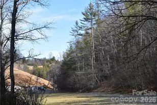 448 Sweetwater Rd, Green Mountain, NC 28740 - Photo 45