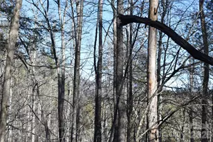 448 Sweetwater Rd, Green Mountain, NC 28740 - Photo 13