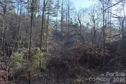 448 Sweetwater Road, Green Mountain, NC 28740 - Photo 3