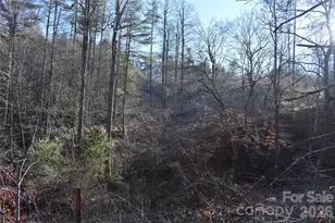 448 Sweetwater Rd, Green Mountain, NC 28740 - Photo 3