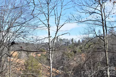 448 Sweetwater Road, Green Mountain, NC 28740 - Photo 47