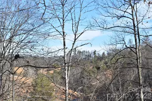 448 Sweetwater Rd, Green Mountain, NC 28740 - Photo 47