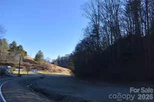 448 Sweetwater Rd, Green Mountain, NC 28740 - Photo 7