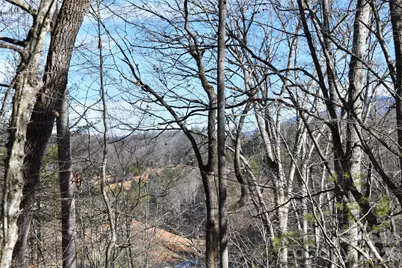 448 Sweetwater Road, Green Mountain, NC 28740 - Photo 39