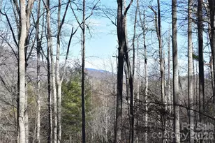 448 Sweetwater Rd, Green Mountain, NC 28740 - Photo 23