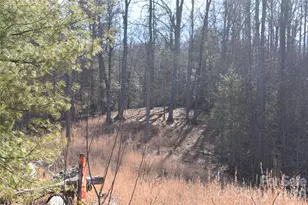 448 Sweetwater Rd, Green Mountain, NC 28740 - Photo 37