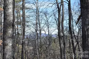 448 Sweetwater Rd, Green Mountain, NC 28740 - Photo 33