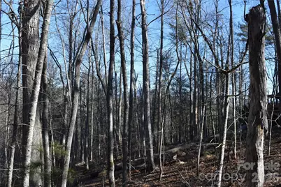 448 Sweetwater Road, Green Mountain, NC 28740 - Photo 11