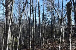 448 Sweetwater Rd, Green Mountain, NC 28740 - Photo 11