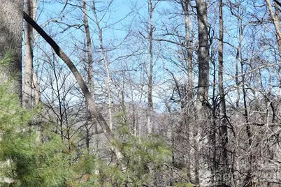 448 Sweetwater Road, Green Mountain, NC 28740 - Photo 15