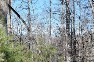 448 Sweetwater Rd, Green Mountain, NC 28740 - Photo 15