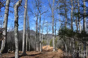 448 Sweetwater Rd, Green Mountain, NC 28740 - Photo 29