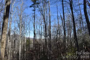 448 Sweetwater Rd, Green Mountain, NC 28740 - Photo 21