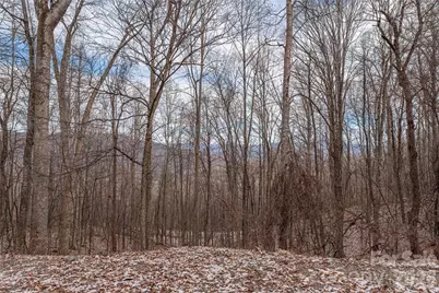 00 Curry Comb Trail #516, Waynesville, NC 28785 - Photo 3