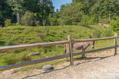 00 Curry Comb Trail #516, Waynesville, NC 28785 - Photo 19
