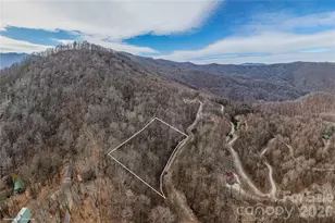00 Curry Comb Trail, Waynesville, NC 28785 - Photo 1