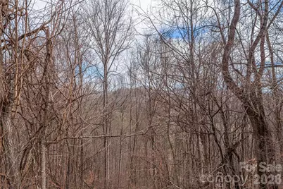 00 Point Of View Drive #201, Waynesville, NC 28785 - Photo 7