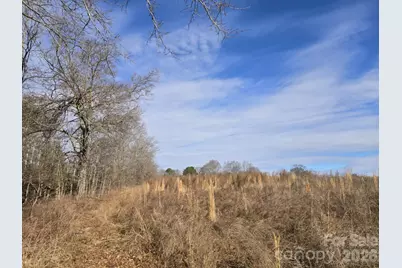 Tbd Sandy Springs Road, Rutherfordton, NC 28139 - Photo 15