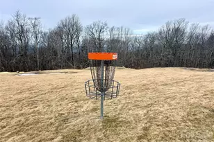 301 Pinnacle Inn Rd, Beech Mountain, NC 28604 - Photo 29