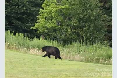 301 Pinnacle Inn Road #3304A, Beech Mountain, NC 28604 - Photo 33