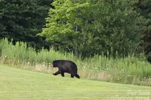 301 Pinnacle Inn Rd, Beech Mountain, NC 28604 - Photo 33