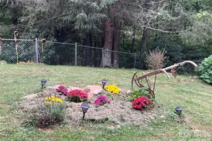 2778 Mule Stomp Rd, Hot Springs, NC 28721 - Photo 11