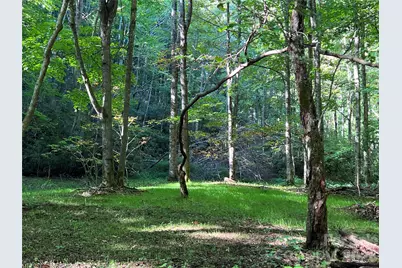 2778 Mule Stomp Road, Hot Springs, NC 28721 - Photo 7