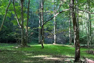 2778 Mule Stomp Rd, Hot Springs, NC 28721 - Photo 7