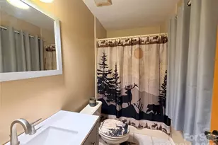 2778 Mule Stomp Rd, Hot Springs, NC 28721 - Photo 17