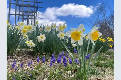 2778 Mule Stomp Road, Clyde, NC 28721 - Photo 13