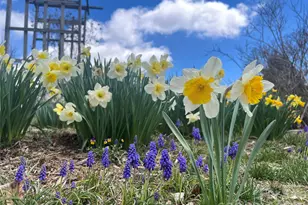 2778 Mule Stomp Rd, Hot Springs, NC 28721 - Photo 13